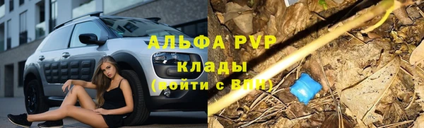 прущие крисы Осташков