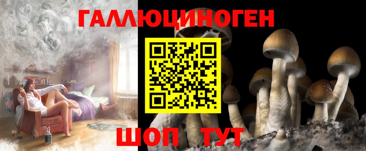 Псилоцибиновые грибы Cubensis Ейск